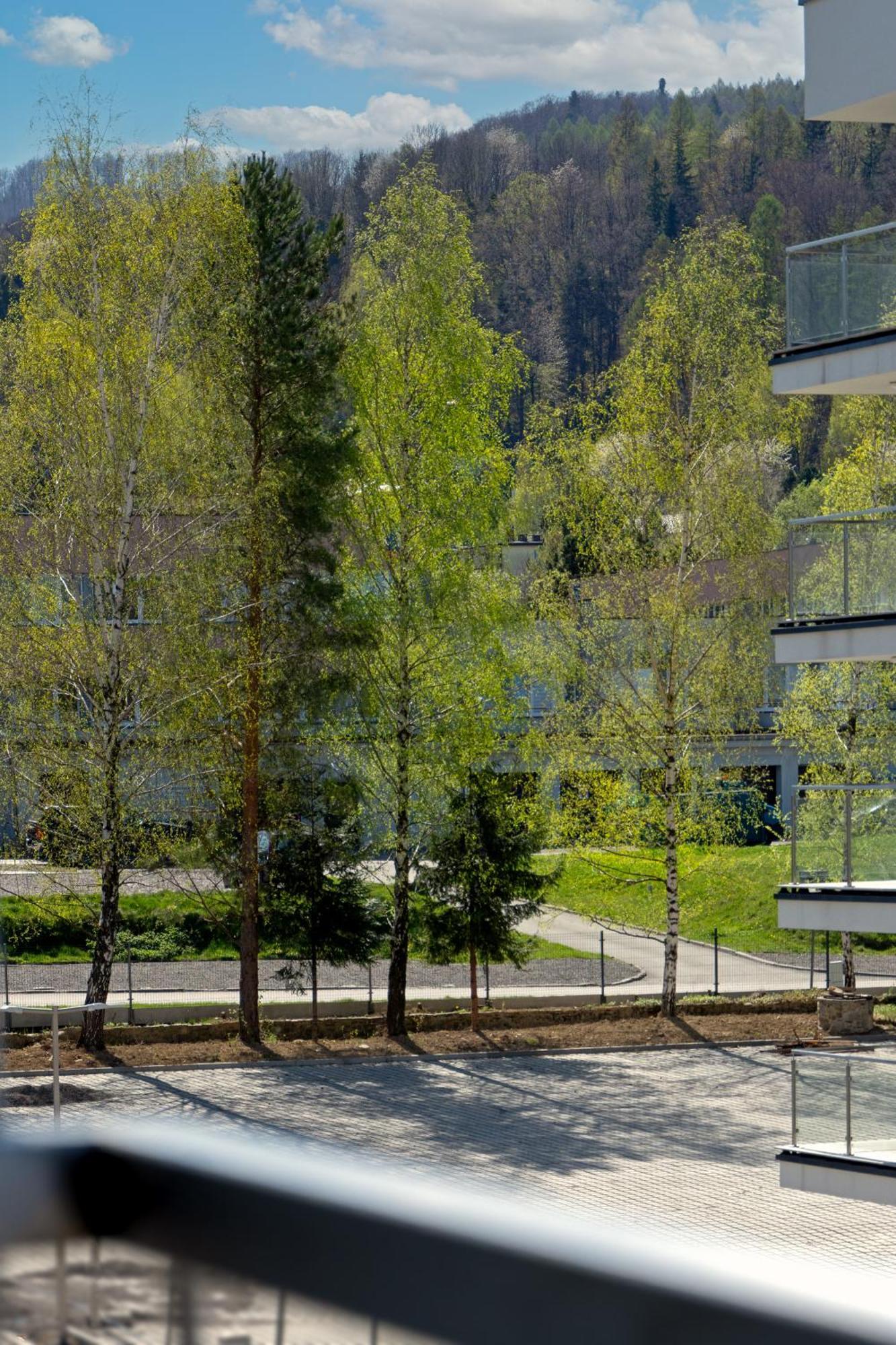 Szyndzielnia Hill Apartament # Nestapartamenty Bielsko-Biała Exteriör bild